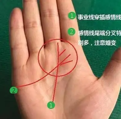 手相感情线分叉多,夫妻不和,婚姻不长,感情线断裂