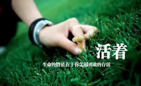 都说近乡情怯,说是怯,我觉得更多的是难言的小躁动.