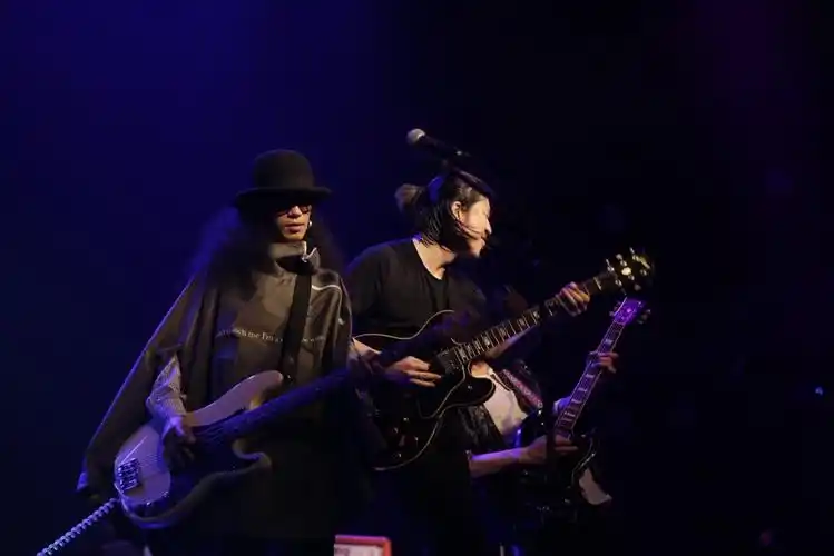 谈资爱音乐▏海龟先生我们是一支有呼召的乐队