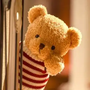 抱抱熊可爱抱枕图片】毛绒玩具熊男生抱抱熊可爱抱枕图片大全_q友网