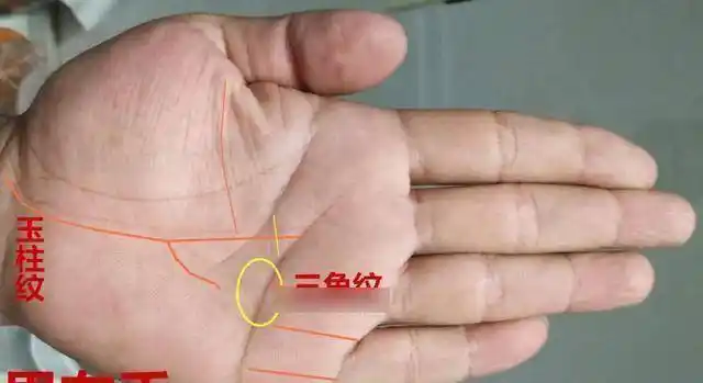 三,天纹感情线上出现明显的大三角,婚姻注定不顺,三角纹越大,情冈越