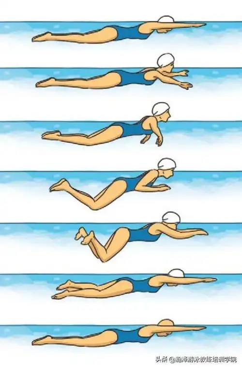 游泳教练培训机构告诉你四大泳姿的诀窍(1)