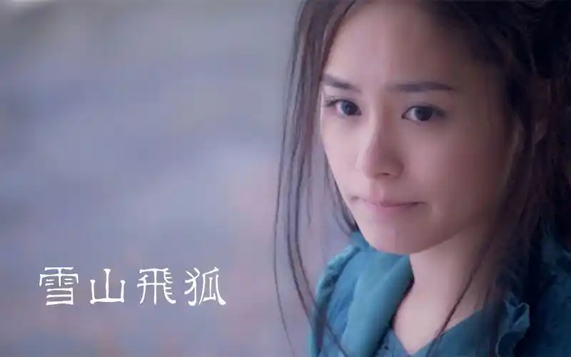 【古装/武侠】雪山飞狐 40集全(2007)(恍若风中的雪花)_哔哩哔哩 (゜