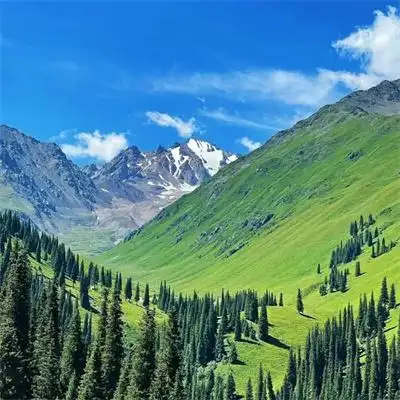 唯美治愈高级大自然风景头像图片 治愈系很有意境的图片头像2022_风景