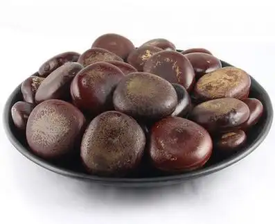 阴阳子的功效与作用_阴阳子的价格多少钱一斤--信誉藏药网