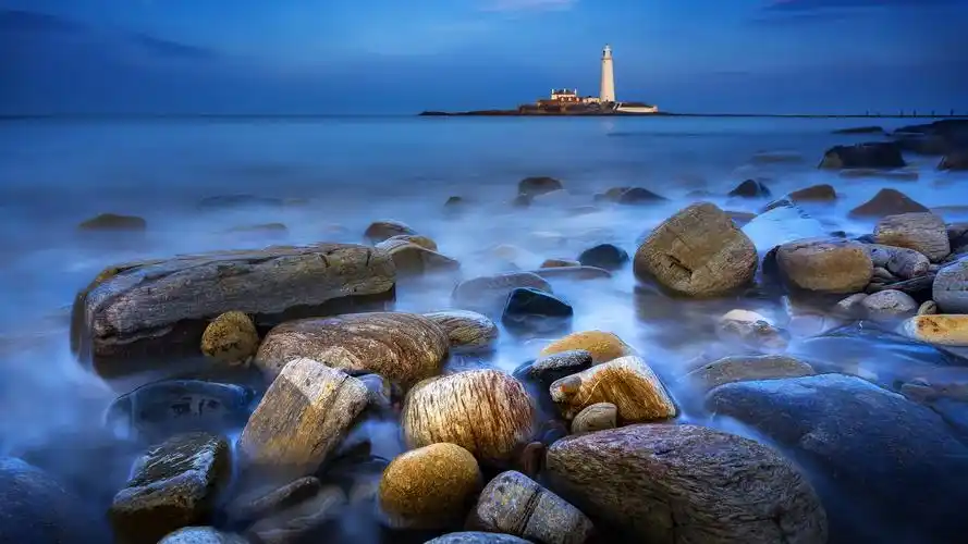 金融市场基础知识题库