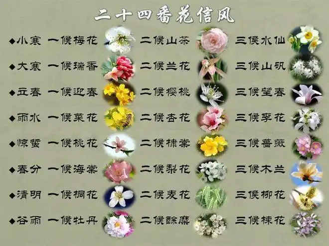 花开时吹过的风叫花信风