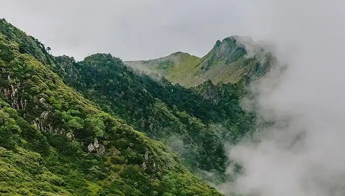 图片来源:视觉中国