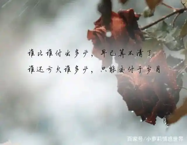 真正入了心,是一生的牵挂(值得一看)