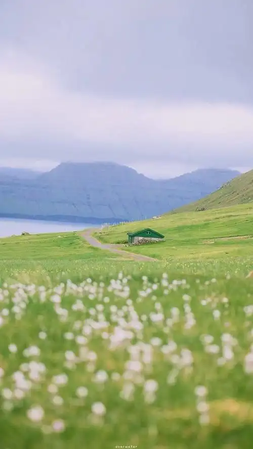 uu们求浅绿色的春天壁纸