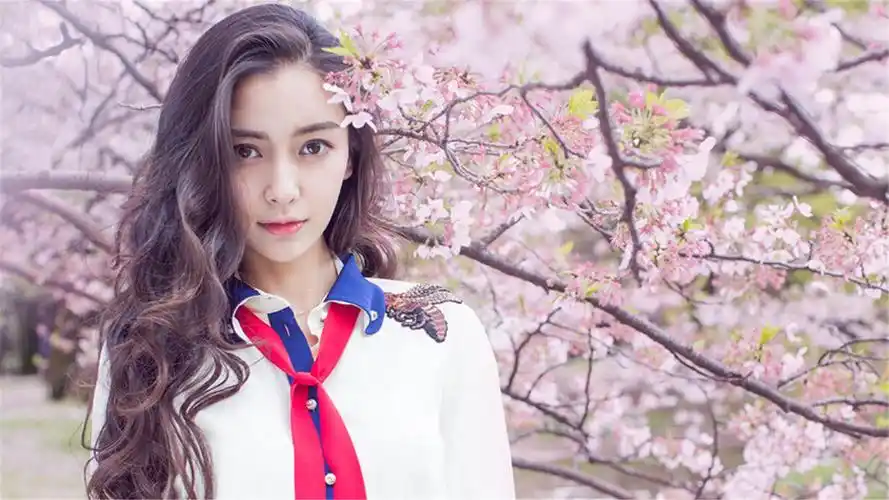 angelababy唯美樱花写真,高清图片-壁纸族