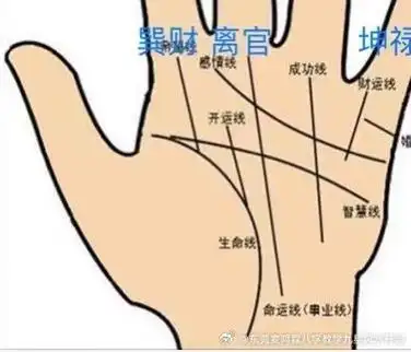 右  26615看面相300(提供素颜照  36615批痣相吉凶500(含化解