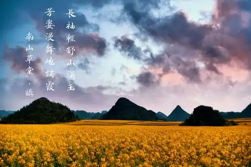 用相机作画/创唯美意境 3