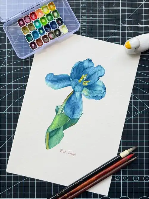 零基础学画水彩花卉原创写生水彩画11100