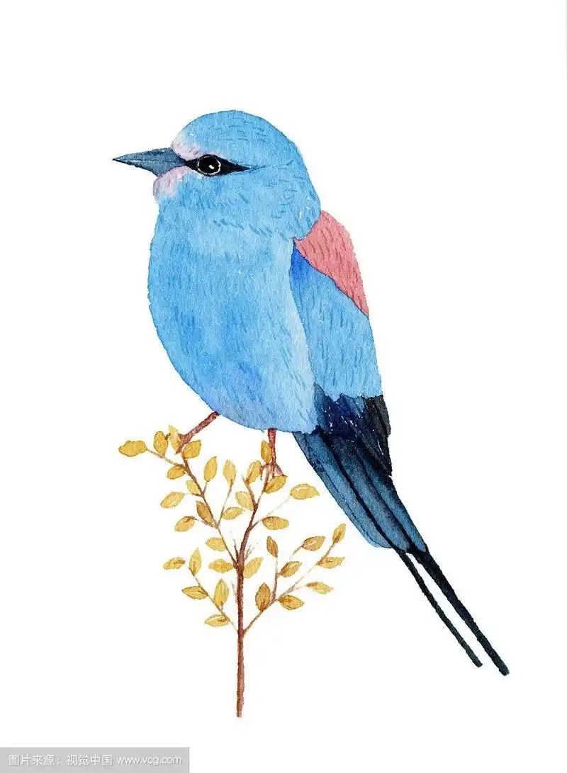 手绘一只蓝色的小鸟站立在树枝上水彩插画
