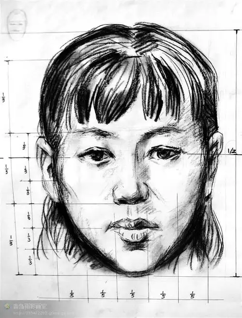 人的头部比例 (侧面)三庭五眼人的头型和五官比例充分体现了黄金率的