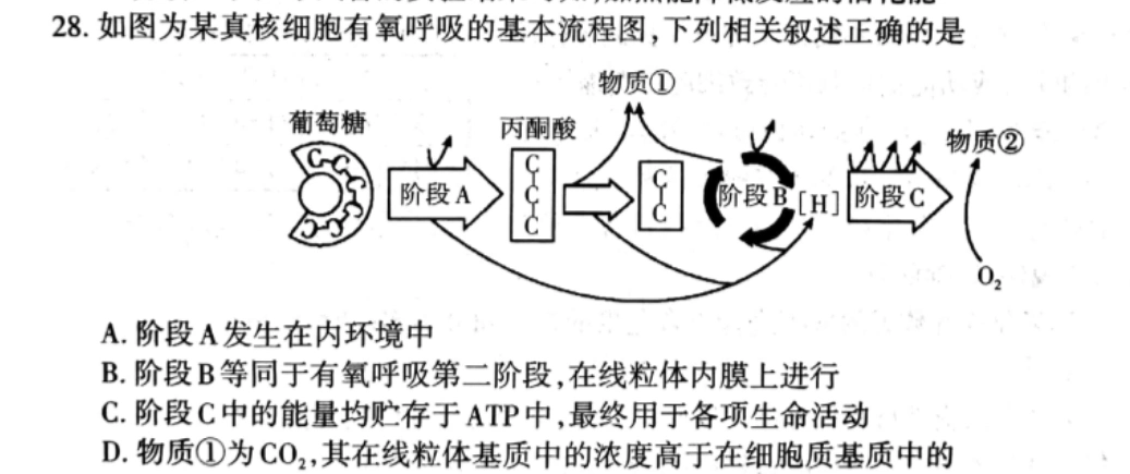 如图为某真核细胞有氧呼吸的基本流程图,下列相关叙述正确的是物质①