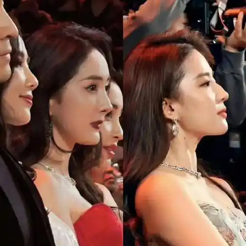 杨幂算不算顶级大美女?看她和刘亦菲的合照就知道了