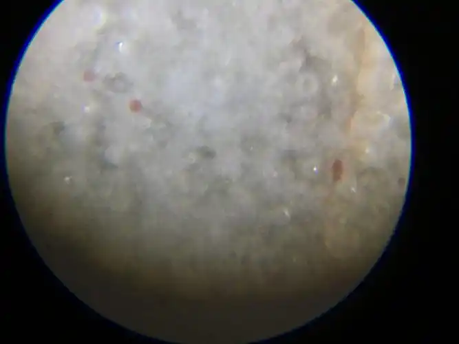 宋代官窑,哥窑的气泡有什么特点