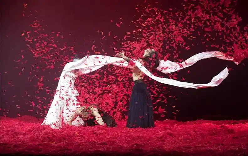 观后感:十面埋伏(杨丽萍)