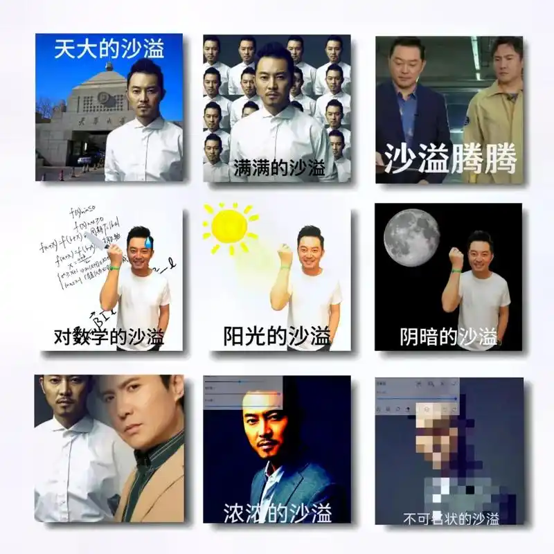 沙溢表情包.#沙溢表情包 #沙溢 #淡淡的沙溢 #表情包 - 抖音