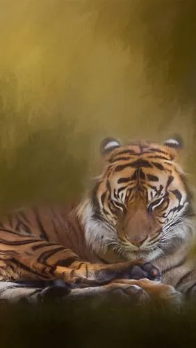 壁纸 老虎休息,朦胧,艺术绘画 3840x2160 uhd 4k 高清壁纸, 图片