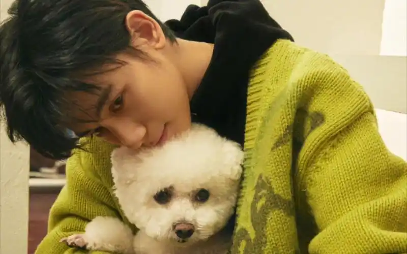 【胡先煦】在?年轻又貌美的小男友谁来查收下?_哔哩哔哩_bilibili