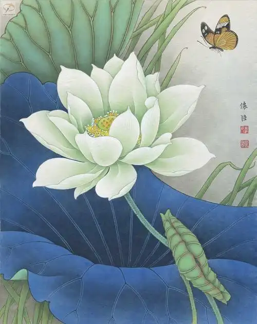 工笔荷花精品图片 工笔荷花精品图片横幅