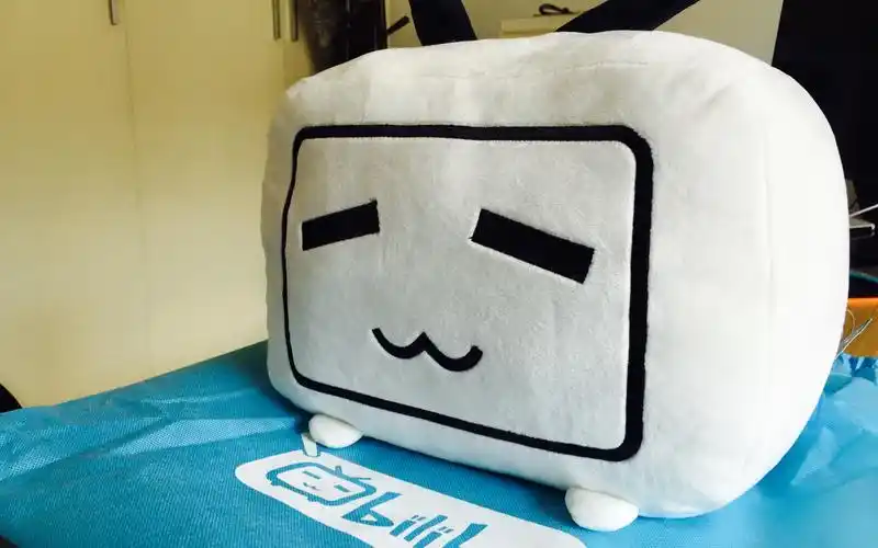 b站抽中的小电视开箱(用视频传递幸运,祝你也抽中～)_哔哩哔哩_bili