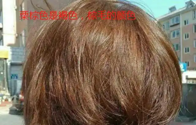 栗棕色和板栗色的区别有:颜色不同,适合人群不同,色度不同,色相不同