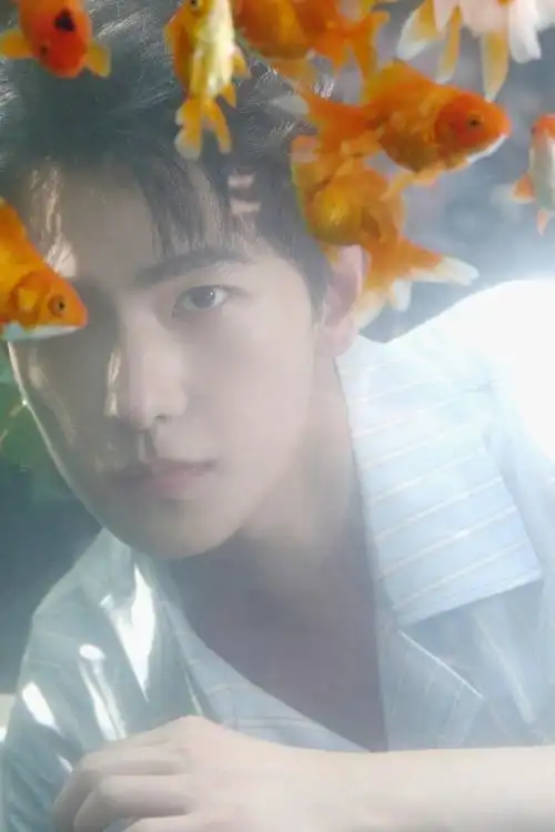 杨洋的出发图自带香味