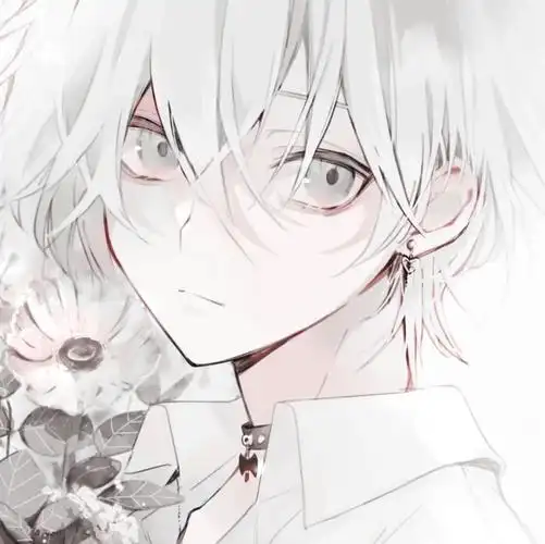 男头二次元精选权删