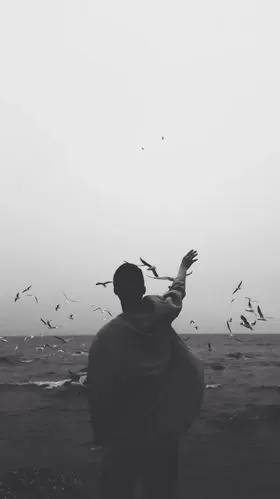 壁纸 黑白 背影 欧美