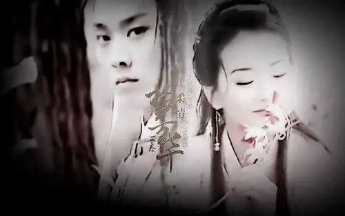 【沈晓海x王艳】【宁王x凝香】不让柔情枯芳华