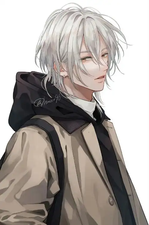 凛然正气的白发小哥哥丨插画师hacco96