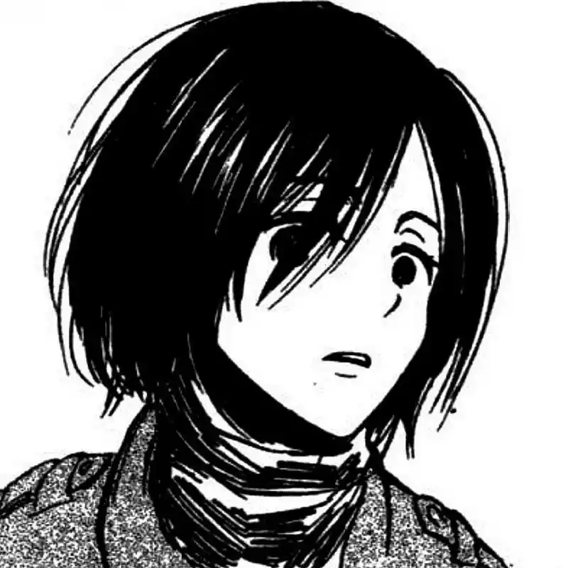 三笠头像 想对大家说,三笠是一个独立的女性,不要总是觉得他没了艾伦