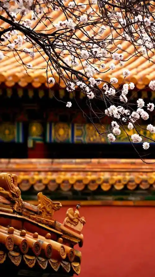 故宫博物院丨一道宫墙几许朱红