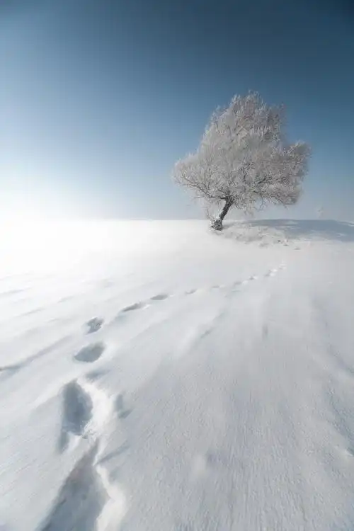 7815"冬天的雪是天上揉碎的云"