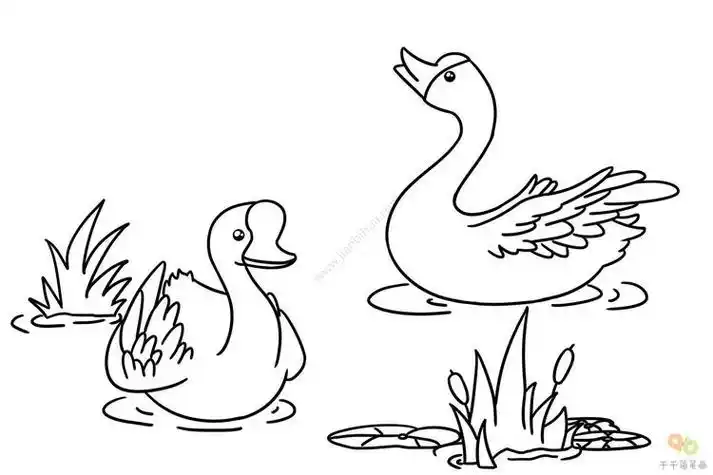古诗画鸭简笔画