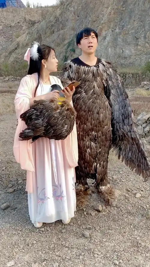 杨过的大雕原来是这样的