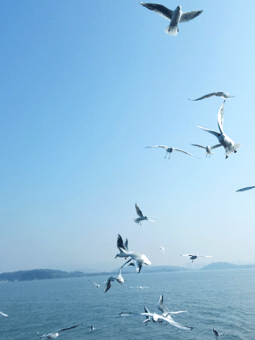 360_480竖版 竖屏gif 动态图 动图