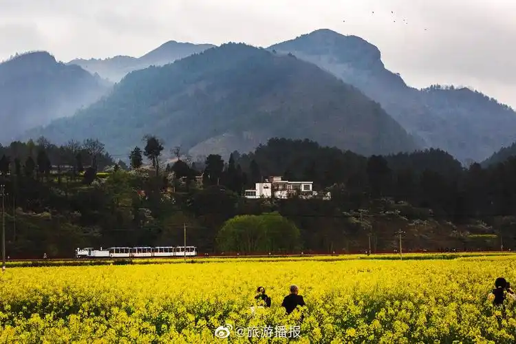 黔南州贵定县,金海雪山_高清图集_新浪网
