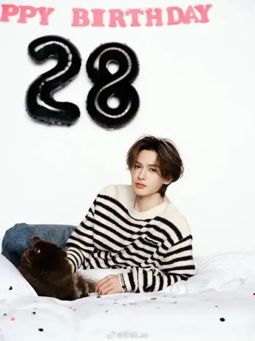祝@theo-朱正廷28岁生日快乐新的一岁希望小朱可爱一如既往,万事尽可