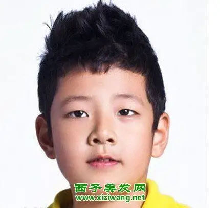 男儿童短发发型图片(3)_学生发型_西子美发网