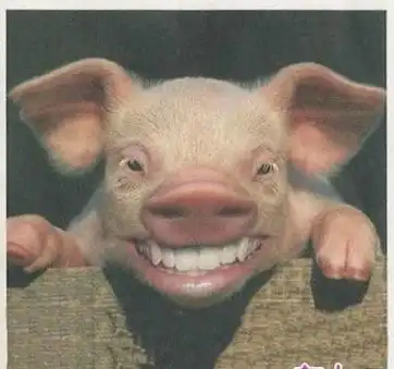 不要抑郁了,小伙伴们,愚人节快到了,赶紧和小伙伴们开怀大笑吧!