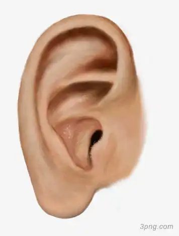 耳朵狗大耳朵狗耳朵插花的小妹卡通大耳朵狗耳朵png高清胡萝卜兔耳朵