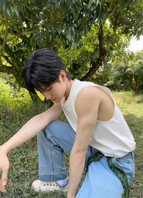 张真源粉色格子衬衫随拍##张真源春日户外随拍四宫格