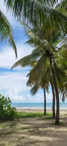 椰树,沙滩,大海,蓝天,如此多娇