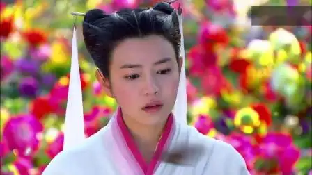 神雕侠侣陈晓版第二部分