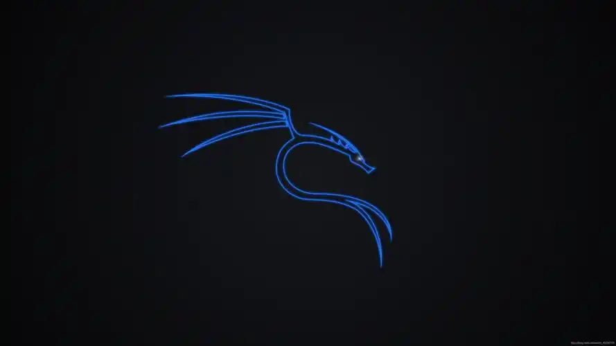 kalilinux2021壁纸